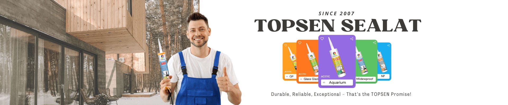 Topsen silicone sealant show